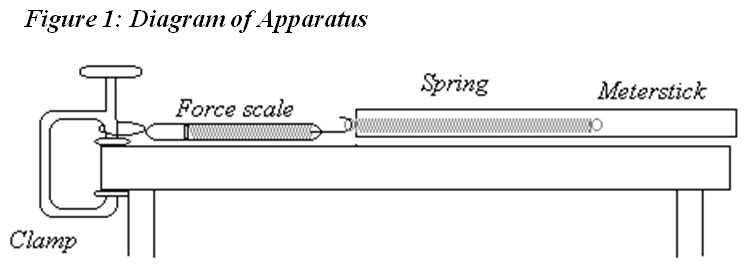 Lab Reports